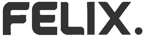 FELIX ELECTRONIC LTD
